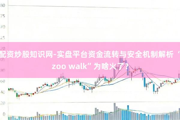 配资炒股知识网-实盘平台资金流转与安全机制解析 “zoo walk”为啥火了？