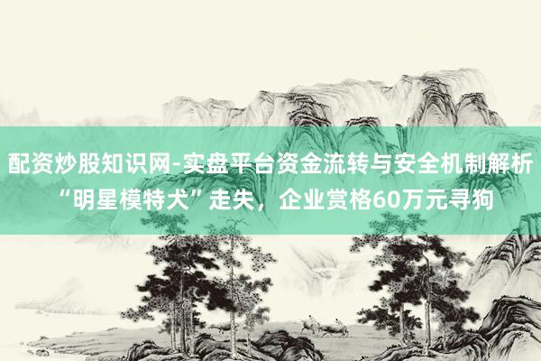 配资炒股知识网-实盘平台资金流转与安全机制解析 “明星模特犬”走失，企业赏格60万元寻狗