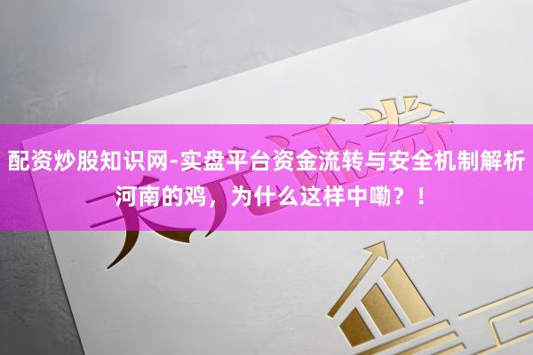 配资炒股知识网-实盘平台资金流转与安全机制解析 河南的鸡，为什么这样中嘞？！
