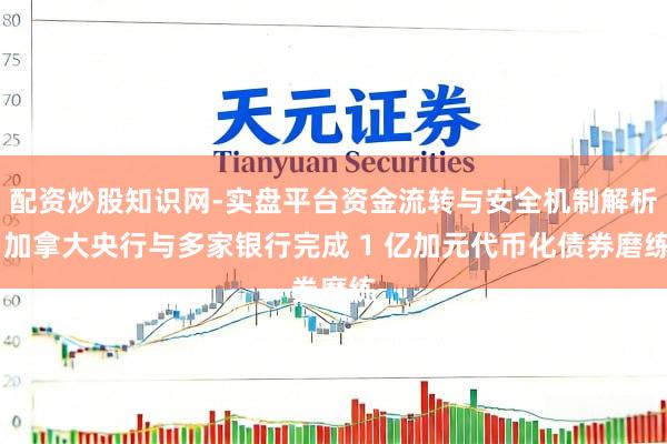 配资炒股知识网-实盘平台资金流转与安全机制解析 加拿大央行与多家银行完成 1 亿加元代币化债券磨练